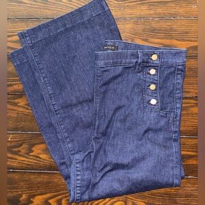 Ann Taylor Stylish Blue Sailor Jeans